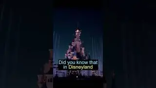 Disneyland's Hidden Half Court