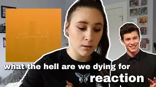 What The Hell Are We Dying For - Shawn Mendes | Reaction