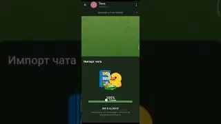 Как экспортировать чат из WhatsApp в Телеграмм