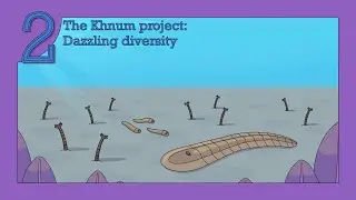 Alien evolution || The Khnum project Episode two, Dazzling Diversity