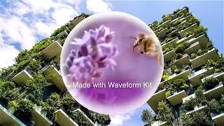 More what else can you do with Waveform Kit?
