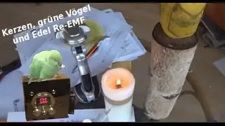Kerzen, grüne Vögel und Edel Re-EMF