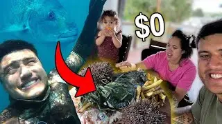 I feed my family with $0