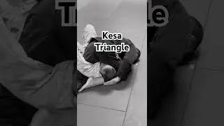 #julesbruchez #mma #bjj #jiujitsu #wrestling #ufc #nogi #trianglechoke #triangle #shorts