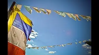 Meditation for Beginners: The Mind as an Object