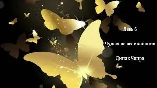 День 6. Чудесное великолепие! Дипак Чопра