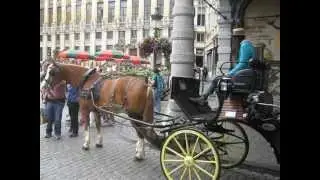 My Trip to Belgium