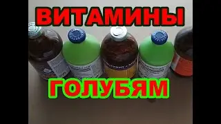 Витамины для голубей. | Дозировка голубям