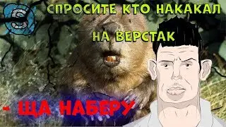 SKYPE: Пожилой Наркоконтроль ПРЕСУЕТ ПАЦАНА И ПРИСАДКИ НА ВЕРСТАКЕ  (NEW ROFL IN SKYPE 2019)
