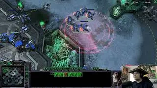 StarCraft 2 What is cooking