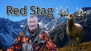 Red Stag Education - Guided by Four Seasons Safaris