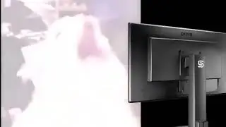 When you turn light mode on