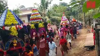 Cheriyanadu temple kavadi aatam 2020 (cheruvalloor kara)  