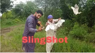 Flying birds hunting with SlingShot!