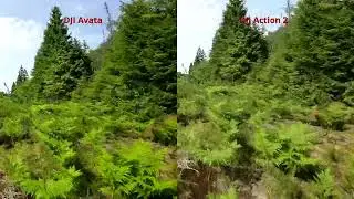 DJI Avata Gyroflow vs DJI Action 2 Gyroflow test 2
