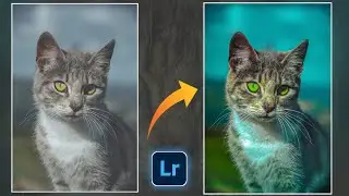 lightroom editing 2022 | animal photo editing | lightroom presets 2022 new | photo editing 2022