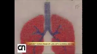 Chinese form Human Lung Image for public awareness against Smog