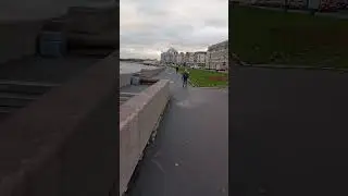 Какой же это писатель или писательница написала ?