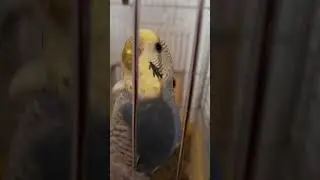 Опять ты с камерой своей