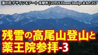 残雪の高尾山登山と薬王院参拝 Climbing Mount Takao in the snow and visiting Yakuo-in Temple-3★257