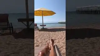👐 Да здесь я, сижу каждый день. #shorts