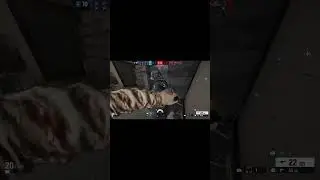 Guess my Rank part 2 #rainbowsixsiege #r6s #shorts