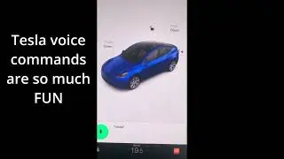 Tesla Butthole Voice Command