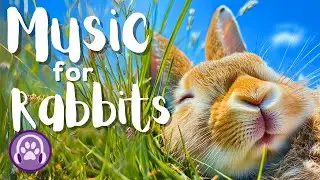 Music for Anxious & Lonely Rabbits - Expert Made Lullabies