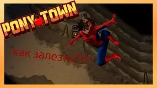 НОВЫЙ БАГ PONY TOWN НА ВЕРСИИ 0.81.4