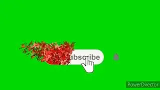 amazing Youtube subscribe button green screen 2020