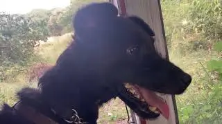 Spencer enjoying the Poet's hut