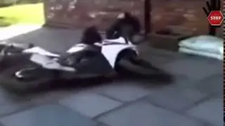 Улетное Видео! Ржач!