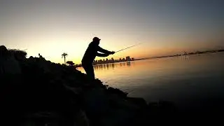 skunked