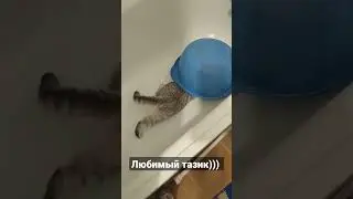 Любимый тазик)))