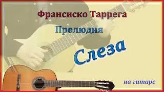 СЛЕЗА. Прелюдия Франсиско Таррега. На гитаре.