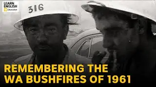 Remembering the WA bushfires of 1961