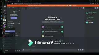 How to get mee6 bot and how to set him up