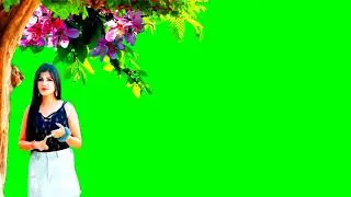 BEST GREEN SCREEN 2021