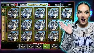 Majestic Forest და სხვა სლოტები 🍀 - 17,000₾ მოგება მარტივად !