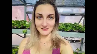 Финальная скидка 25% на пеларгонии. В описании под видео ссылки на каталог