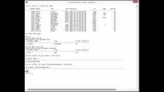 How to Build Transparent Data Encryption on Oracle Standard Edition