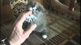 Мотятино детство