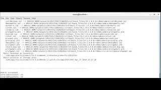 opatch utility command example - Oralce 19c