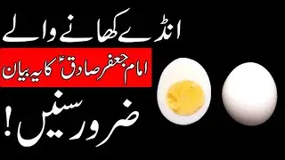 Anda Khane Wale Ye Video Zarur Dekhin | Imam Jafar Sadiq | Egg | Quotes | Islamic Education TV