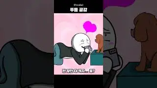 푸들 공감 #shorts