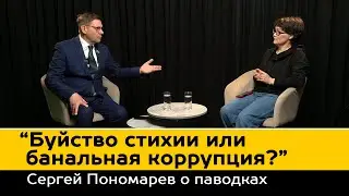Сергей Пономарев о паводках и коррупции: Разбор полетов неизбежен