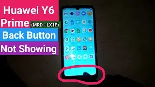 Huawei Y6 prime 2019 ( MRD - Lx1F ) Back button not showing