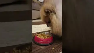 Микки уже большой мальчик. 7 лет это уже мужчинка.