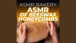Honeycomb Sticky Sounds