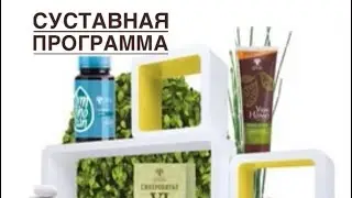 Программа для суставов